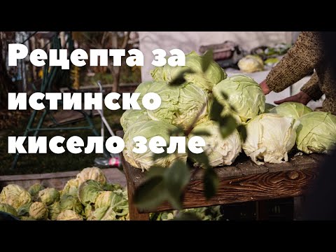 Видео: Рецепта за истинско кисело зеле