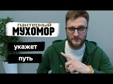 Видео: Мухоморы / Сакральные знания