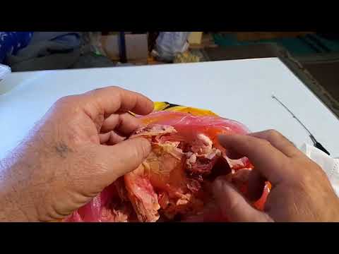 Видео: Зимним рыбакам. Насадка проверенная годами!!!