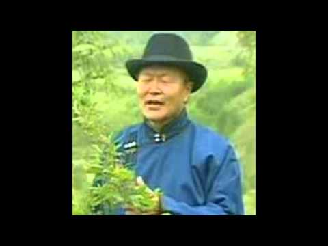 Видео: Зангад   Насны баясгалан