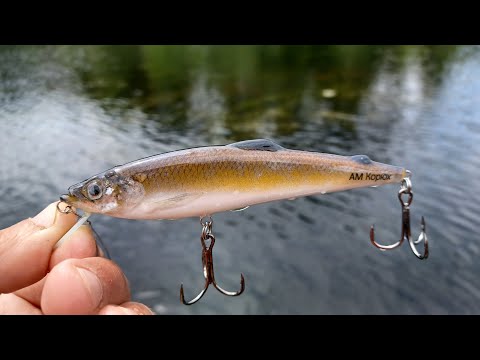 Видео: ТОЛЬКО ПОСТАВИЛ ЗОМБЯКА, так СРАЗУ КЛЁВ НАЧАЛСЯ! Рыбалка на спиннинг в 2023