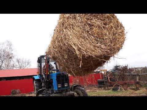 Видео: Гектарщики: переселенцы на Дальный Восток | ЧЕЛОВЕК НА КАРТЕ