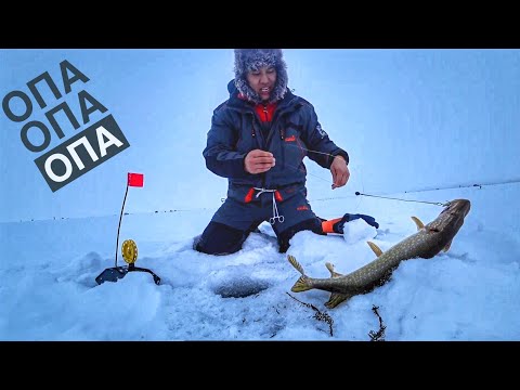 Видео: Щука на Жерлицы! Рыбалка в Заповедных местах КАЗАХСТАНА!