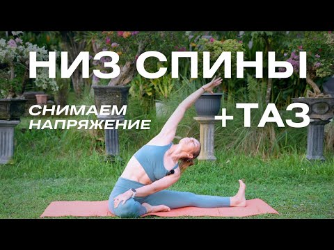Видео: Снимаем напряжение и усталость с НИЗА СПИНЫ/ Мягкая растяжка для нижней части тела