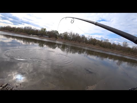 Видео: СУДАК бьет прямо ПОД НОГАМИ!!!