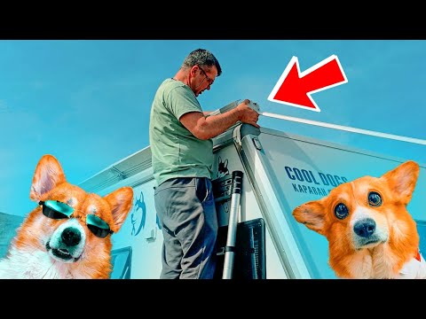 Видео: СЛОМАЛИ ДОМ НА КОЛЕСАХ!! И СОКРОВИЩЕ НЕ НАШЛИ!! Путешествие на караване Cool Dogs
