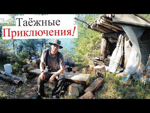 Видео: На Рыбалку к Таёжному Озеру с Ночевкой! Лучшая Уха и Волшебная Коптилка с Окунями! UHD