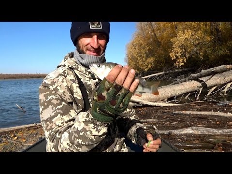 Видео: ЛОВЛЯ ОКУНЯ В ЛОМОВОМ КОРЯЖНИКЕ  | Рыбалка в отвес |Ловля на отводной!