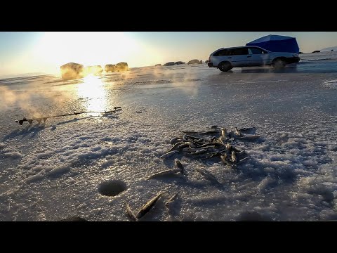 Видео: ЗИМНЯЯ РЫБАЛКА. Крупная НАВАГА отрывает блесна