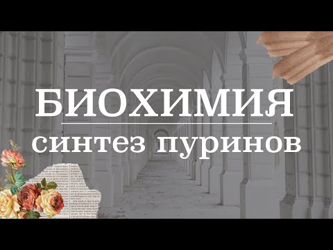 Видео: Биосинтез пуринов | Биохимия