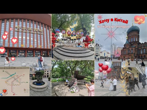 Видео: г. Харбин июль 2025 год. Наша прогулка по городу Харбин.