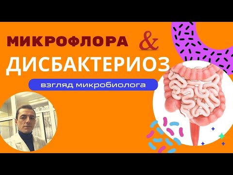 Видео: Дисбактериозы и микрофлора. Микробиологический взгляд на проблему (к.б.н. Р.С. Овчинников)