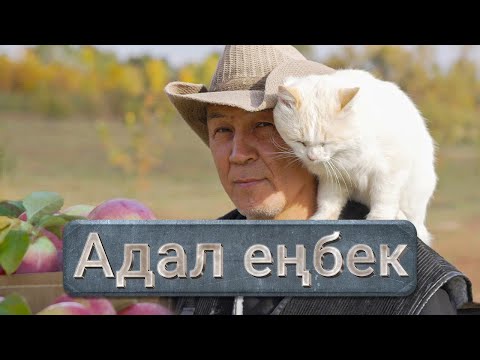 Видео: Қазақстандағы ең ірі алма бағының  қазіргі жағдайы қалай?
