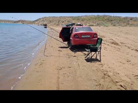 Видео: сезон балық аулау ашылды 21.05.2024