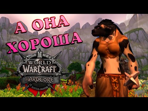Видео: ДПС МАШИНА. ИСТОРИЯ ОДНОЙ ШАМАНКИ #1. Wow Classic Hardcore. Hydraxian Waterlords