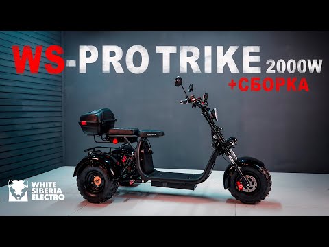 Видео: WS-PRO TRIKE CITYCOCO 2000W. НУЖЕН ЛИ? Полный ТЕСТ-ДРАЙВ + СБОРКА! Что внутри и как работает?