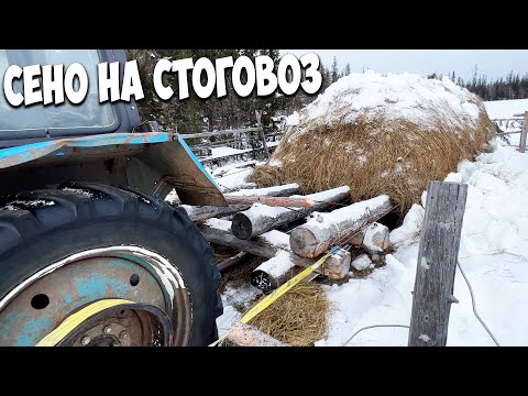 Видео: За стогом сена в тайгу на тракторе БЕЛАРУСЬ