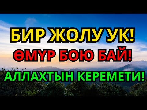 Видео: Ырыскы ачкан күчтүү дуба — Акча төрт тараптан агылат