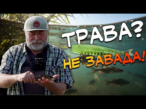 Видео: Секрет успіху в траві? Просто обери правильний силікон!