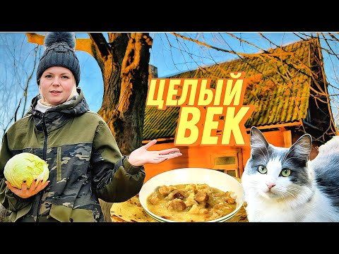 Видео: КАК ИЗМЕНИЛСЯ ХУТОР ЗА ГОД: дом, которому 100 ЛЕТ, Белорусская МАЧАНКА и КВАШЕНАЯ КАПУСТА.