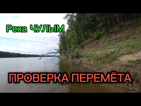 Видео: Пеpемёт. Сгонял в pазведку на Чулым