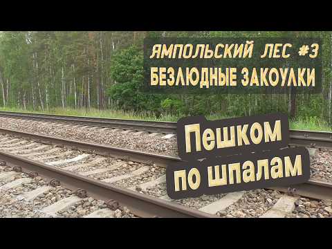 Видео: ⛺ Ямпольский лес #3. Безлюдные закоулки. Пешком по шпалам