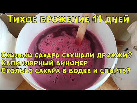 Видео: Вино из винограда Молдова: Тихое брожение 11 дней