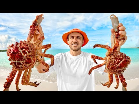 Видео: ЛОВЛЮ БОЛЬШИХ КРАБОВ РУКАМИ. ИЩУ НЕОБИТАЕМЫЙ ОСТРОВ