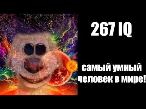 Видео: Твой IQ: