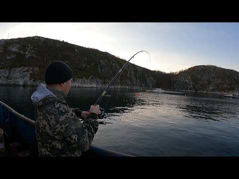 Видео: РЫБАЛКА С МОРСКОГО ПРИЧАЛА / FISHING FROM THE SEA PIER