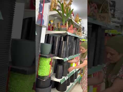 Видео: Садовый центр Агро-ОПТ Махачкала / Обзор в кашпо и горшков