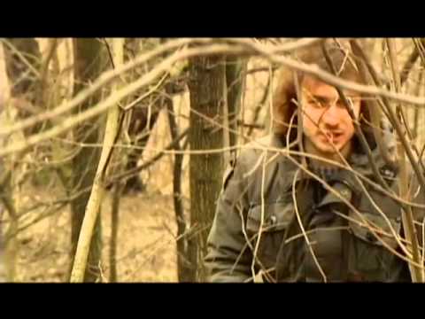 Видео: Добрыня: между вымыслом и реальностью - В поисках истины