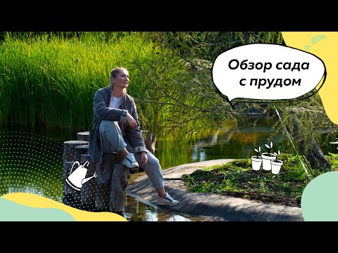 Видео: Обзор сада с прудом | Цветники | Пруд | Ландшафтный дизайн