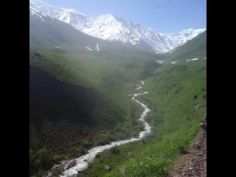 Видео: Жерге тал Гулама айылы