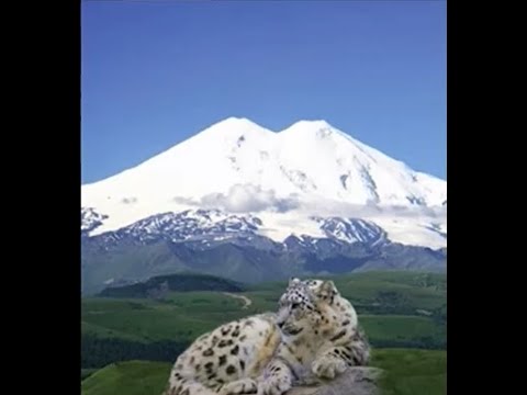 Видео: стрим 25. ПРАЗДНИЧНЫЙ  КОНЦЕРТ-ПОПУРРИ