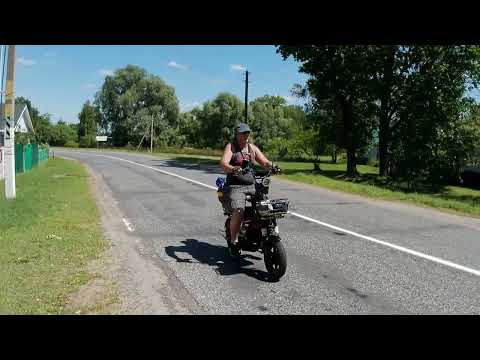Видео: Путешествие с ночёвкой в лесу на  KUGOO V3 PRO PLUS