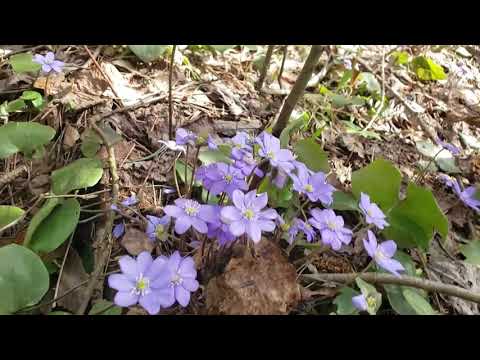 Видео: Ноябрь придуман чтобы СПАТЬ