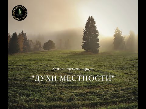 Видео: Духи местности.