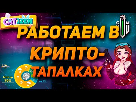 Видео: Как заработать на крипте в 2024? | Монолог автора | Catizen | Bombi