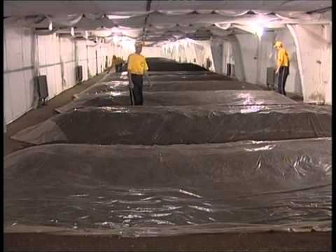 Видео: Технология производства биогумуса