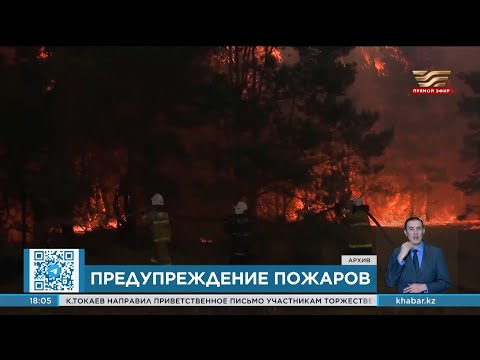 Видео: За последние 5 лет в Казахстане случилось 3 тыс. лесных пожаров