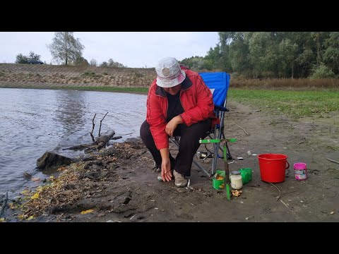 Видео: Как поймать карася на донку-резинку. Старая школа
