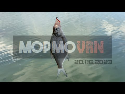 Видео: #14 #мормышинг | Подлещик на мормышку | Мои снасти | Как привязать поводок к шнуру | Уточки |