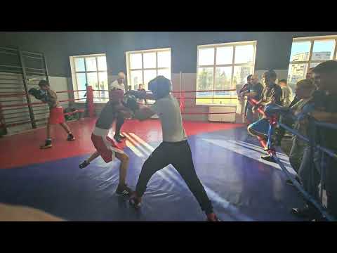 Видео: 28 октомври 2025 г.