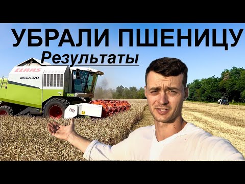 Видео: Уборка пшеницы Таня + Еланчик. Кто победил?