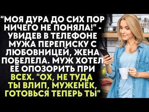 Видео: Моя дура до сих пор ничего не поняла   увидев в телефоне мужа переписку с любовницей, жена побеле