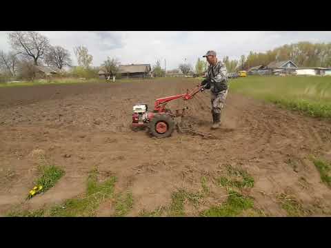 Видео: картошка под плуг. боронование