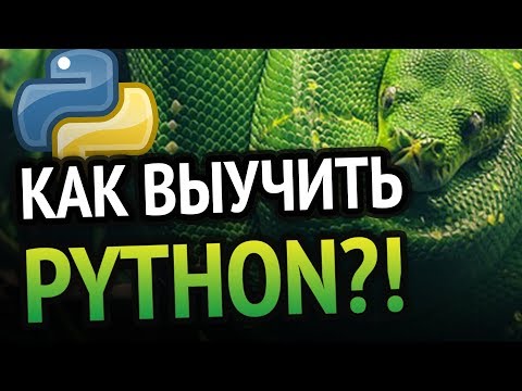 Видео: Как выучить Python? Самый аху#### способ!