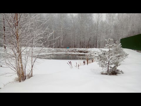 Видео: Аэрация прудов 13 ноября.