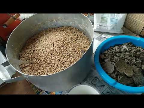 Видео: 34. Жмых (макуха) подсолнечника как корм для курей.